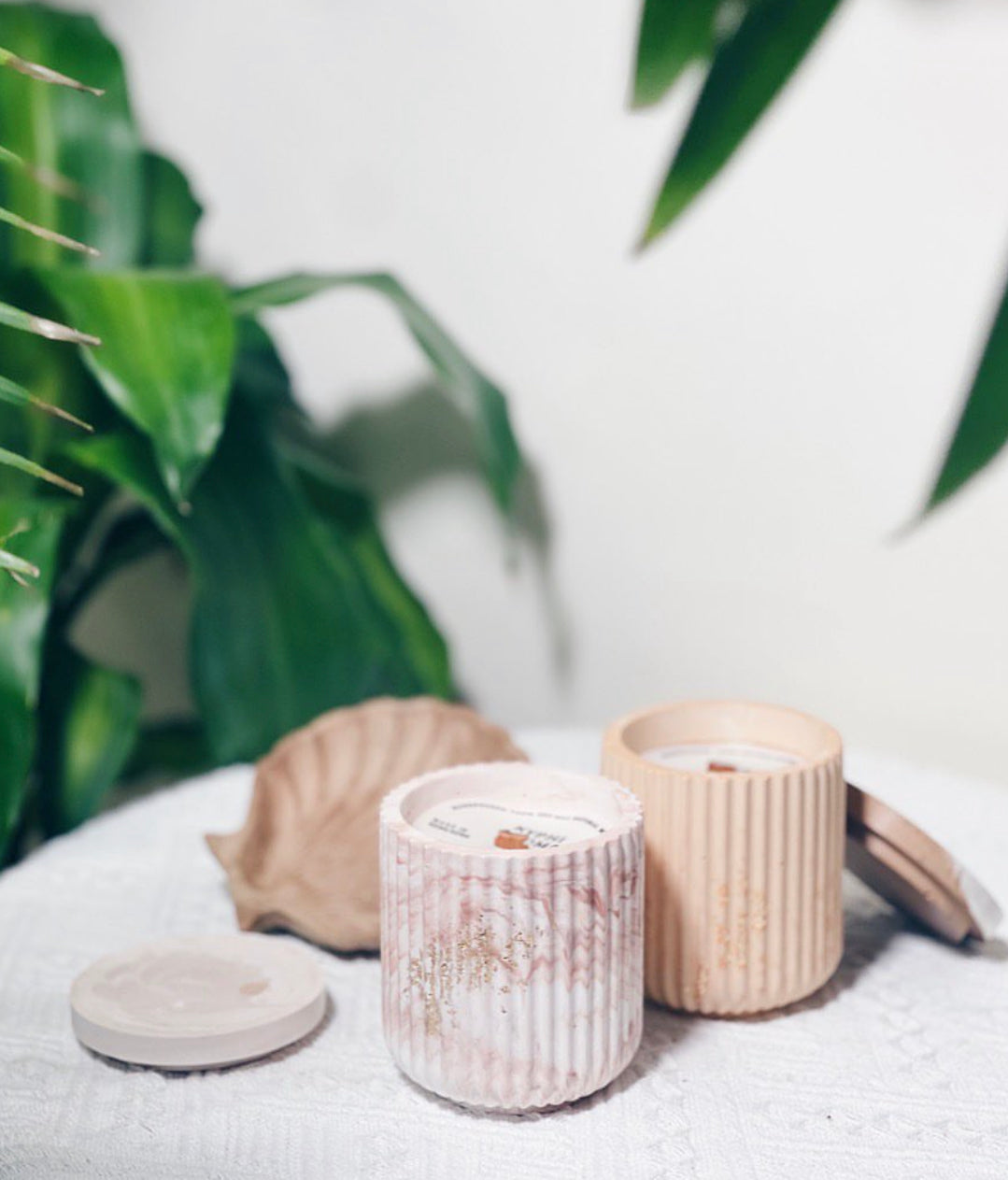 石膏多用途器皿