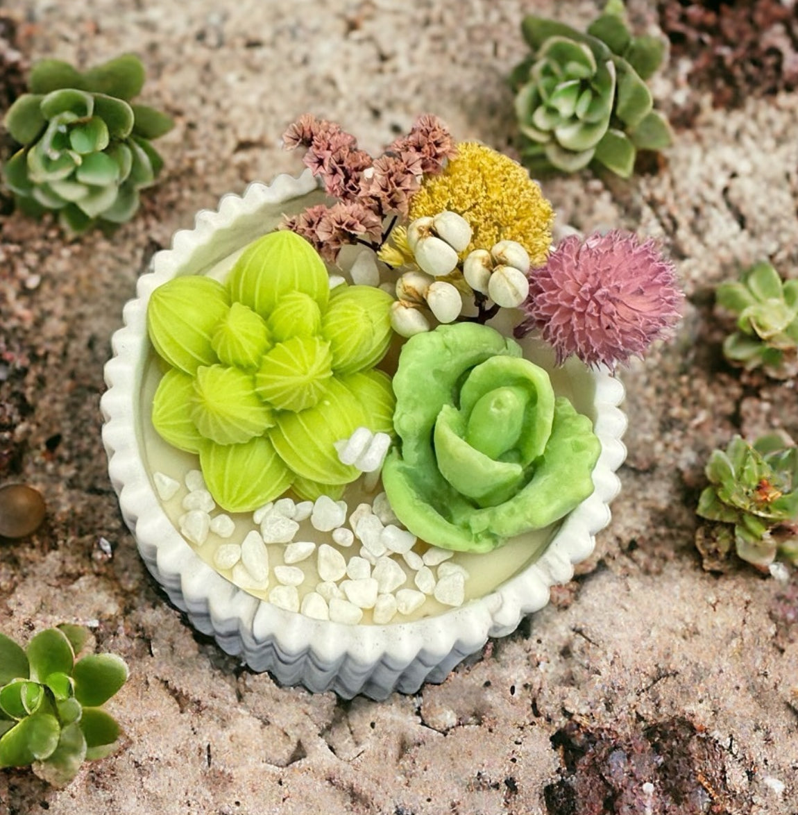 多肉植物蠟燭