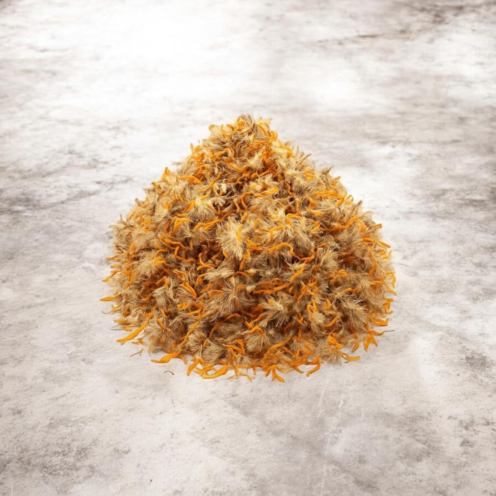 Dried arnica flowers