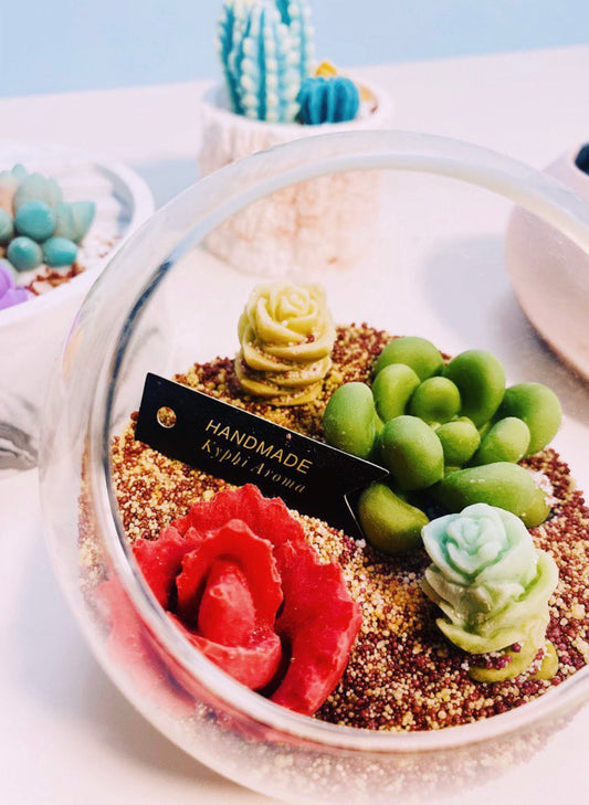 Succulent plant candles