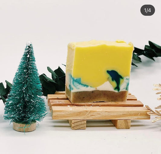 Dolphin handmade soap